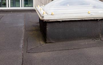 disadvantages of Statham flat roofs