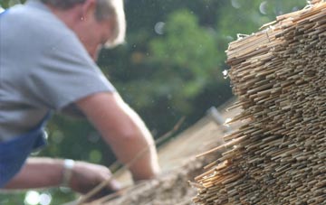 professional Statham thatchers