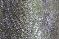 Statham fibreglass roof work